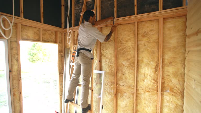 Best Spray Foam Insulation  in South Monroe, MI